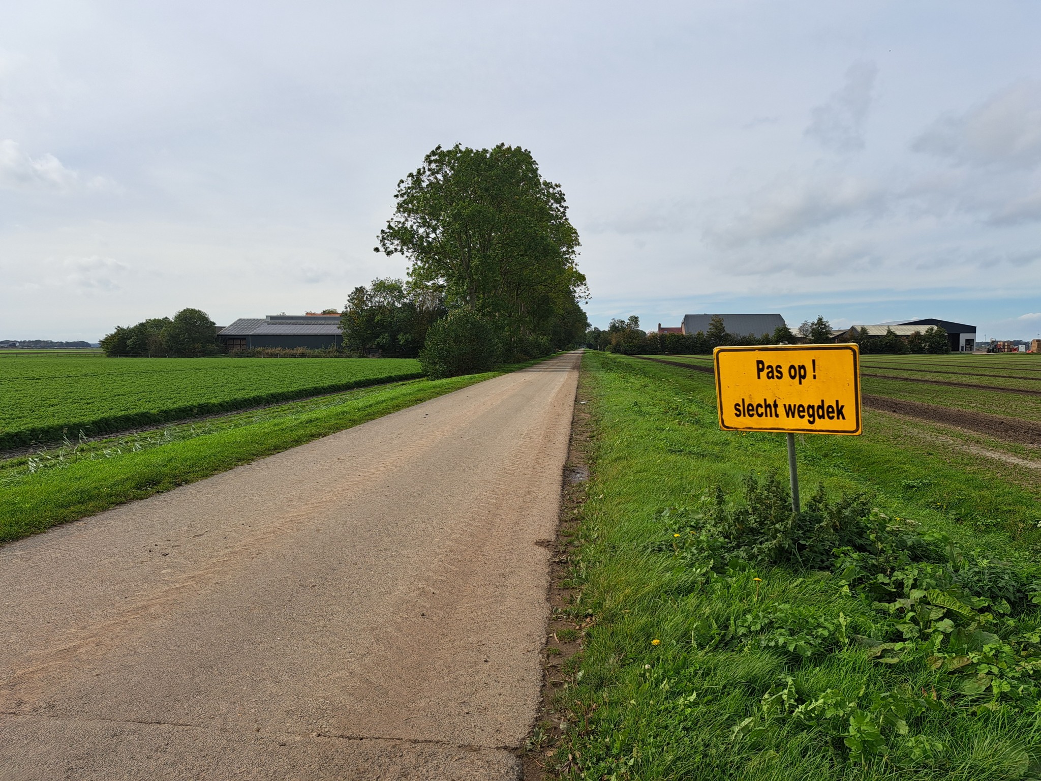 Vervangingsscenario’s voor infrastructuur in de Noordoostpolder
